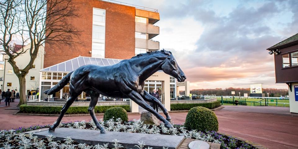 Haydock 170218 944