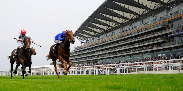 Ascot Header