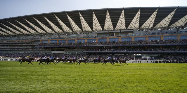 Ascot pano