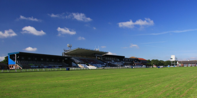 Beverley Picture