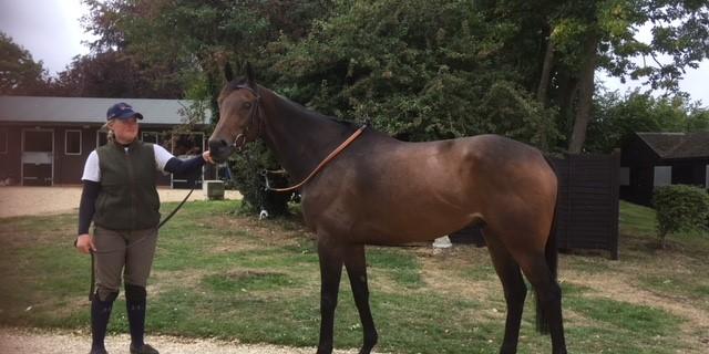 Blue Bullet at Folly House September 2018