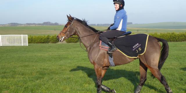 Blue Bullet on gallops Page Fuller 13.12.18