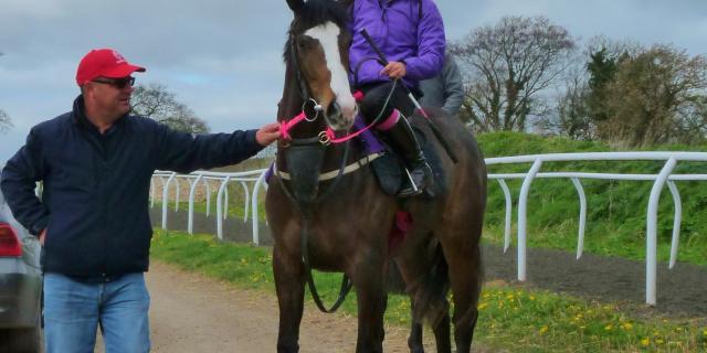 Clouds Rest and Fahey 2