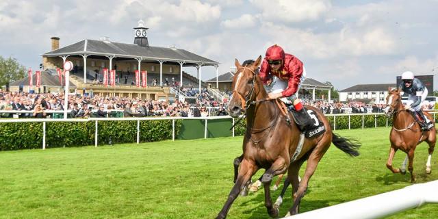 Doncaster Leger Festival