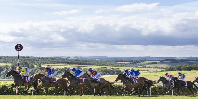 Goodwood Hills