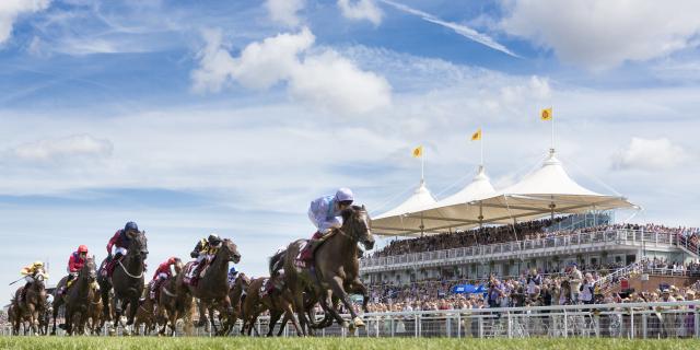 Goodwood QGF