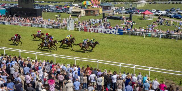 Plumpton Ladies Day 92