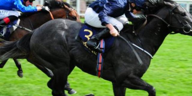 Royal Ascot Ten to Follow