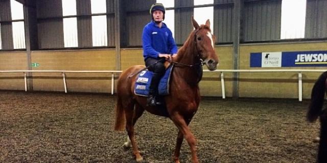 filly first day