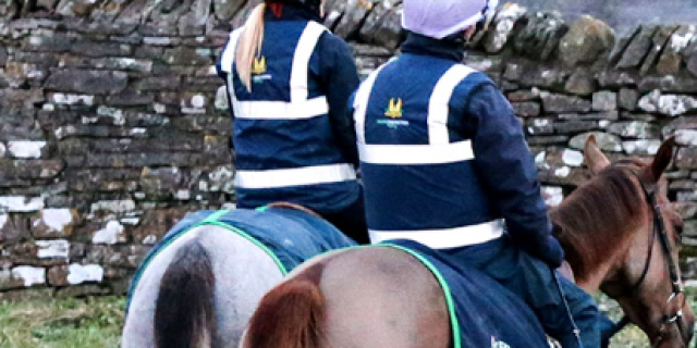 middleham
