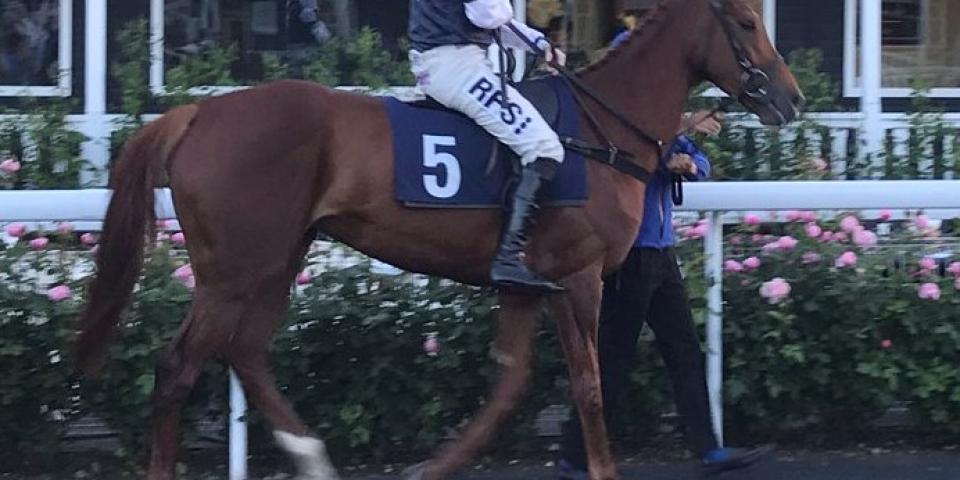 Parade ring + silks cropped